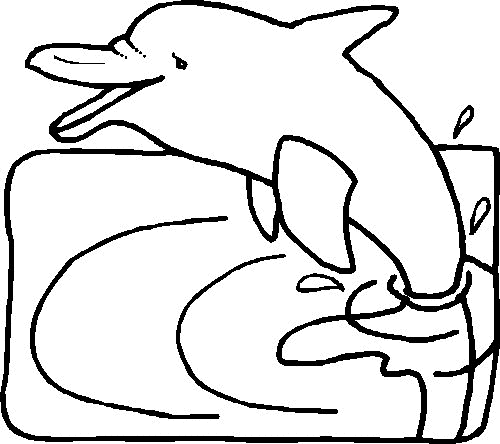 kleurplatenwereldnl  gratis dieren dolfijnen