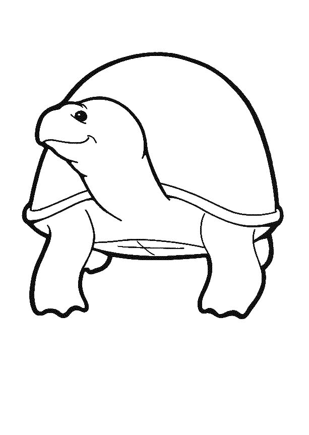 Schildpad09.gif