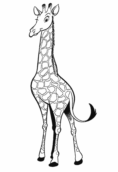 giraf1.gif